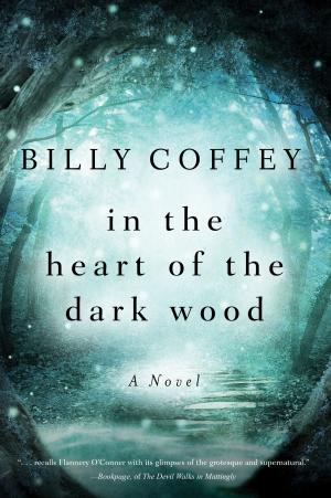 Cover of the book In the Heart of the Dark Wood by Jack Countryman