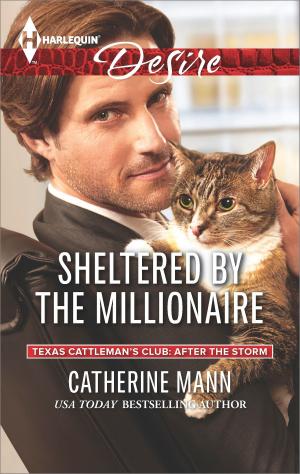 Cover of the book Sheltered by the Millionaire by Delores Fossen
