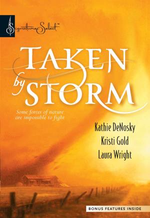 Cover of the book Taken By Storm by Frances Housden