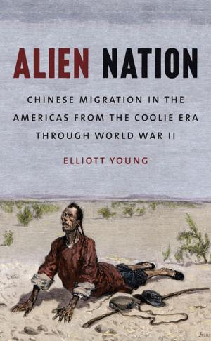 Cover of the book Alien Nation by Lee Epstein, Joseph F. Kobylka