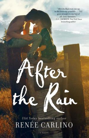 Cover of the book After the Rain by monty j mcclaine