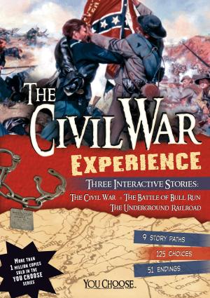 Book cover of The Civil War Experience