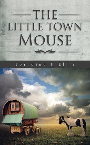 Cover of the book The Little Town Mouse by Dan Ryan