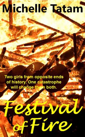 Cover of Festival of Fire