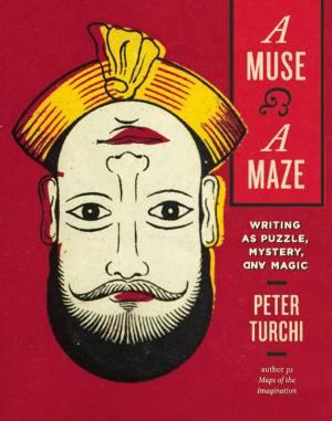 Cover of the book A Muse and a Maze by Amy L. Stone