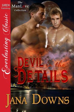 Cover of the book Devil in the Details by Demi Knight