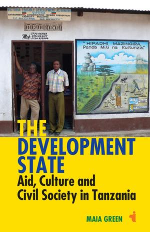 Cover of the book The Development State by Clive Hodges