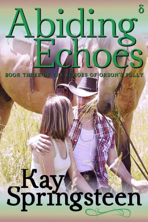 Cover of the book Abiding Echoes by Felicia Rogers