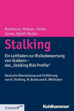 Cover of the book Stalking by Udo Rauchfleisch, Michael Ermann, Dorothea Huber