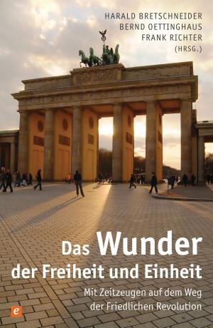 Cover of the book Das Wunder der Freiheit und Einheit by Damaris Kofmehl
