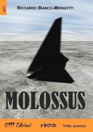 Cover of the book Molossus by Stewart Nash