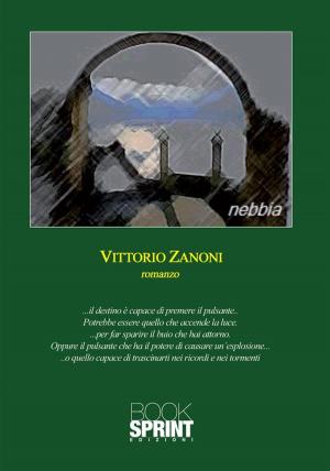 Cover of the book Nebbia by Federico Iannoni Sebastianini