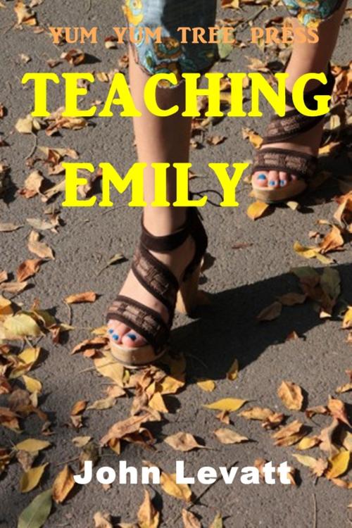 Cover of the book Teaching Emily by John Levatt, Sinful Tales