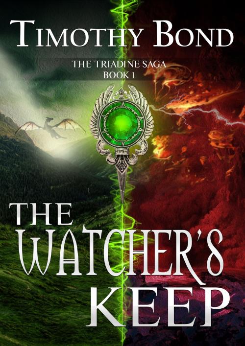 Cover of the book The Watcher's Keep by Timothy Bond, myOstrich Press