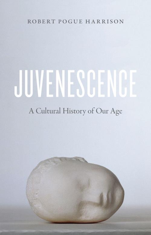 Cover of the book Juvenescence by Robert Pogue Harrison, University of Chicago Press