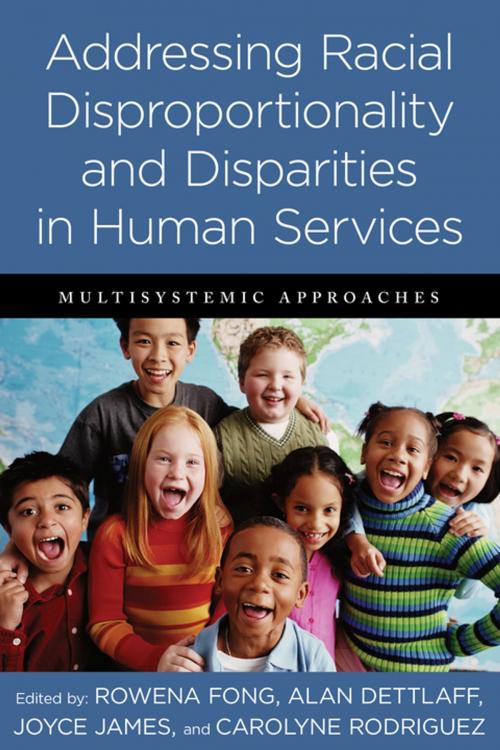 Cover of the book Addressing Racial Disproportionality and Disparities in Human Services by , Columbia University Press