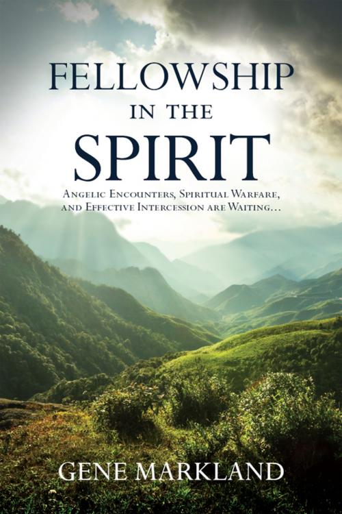 Cover of the book Fellowship in the Spirit by Gene Markland, Destiny Image, Inc.