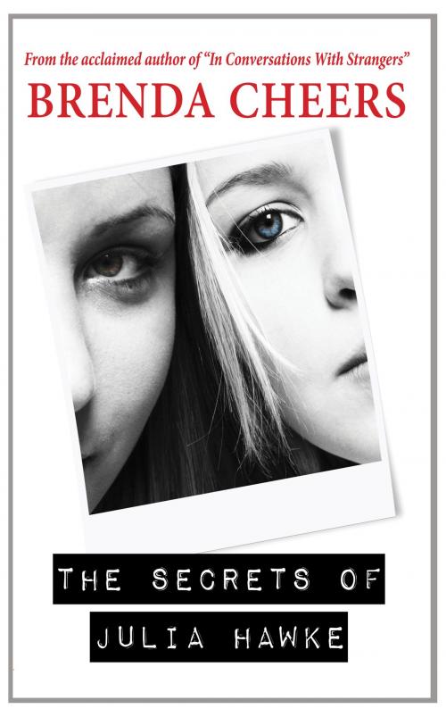 Cover of the book The Secrets of Julia Hawke by Brenda Cheers, Birdcall Publishing