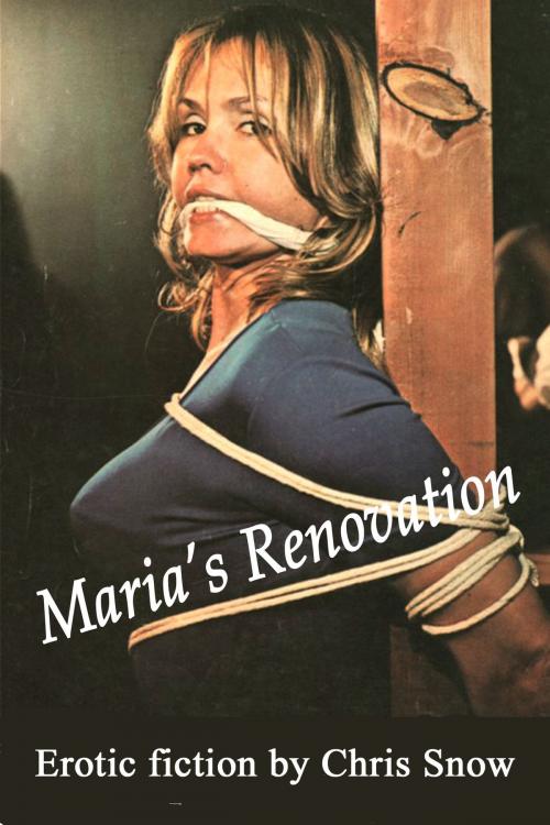 Cover of the book Maria's Renovation by Chris Snow, Chris Snow