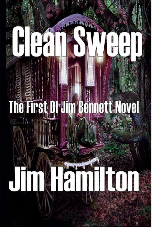 Cover of the book Clean Sweep by Jim Hamilton, Jim Hamilton