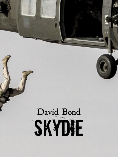 Cover of the book SkyDie by David Bond, David Bond