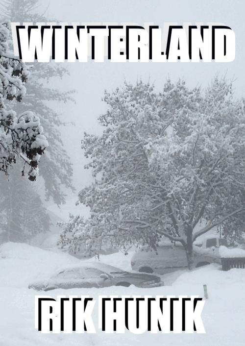 Cover of the book Winterland by Rik Hunik, Rik Hunik