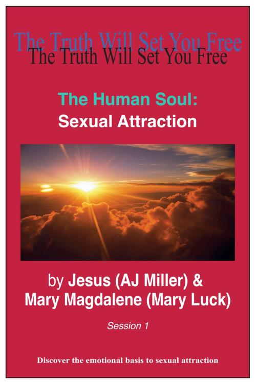 Cover of the book The Human Soul: Sexual Attraction Session 1 by Jesus (AJ Miller), Mary Magdalene (Mary Luck), Divine Truth Pty Ltd