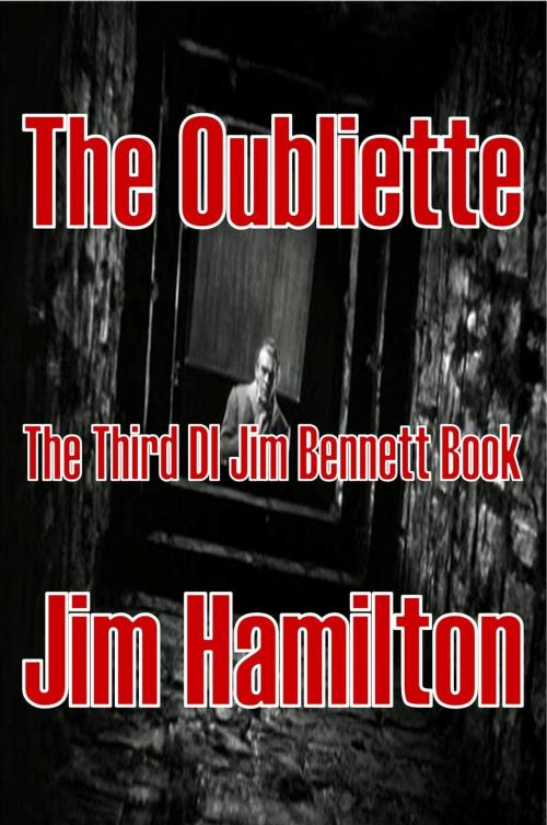 Cover of the book The Oubliette by Jim Hamilton, Jim Hamilton