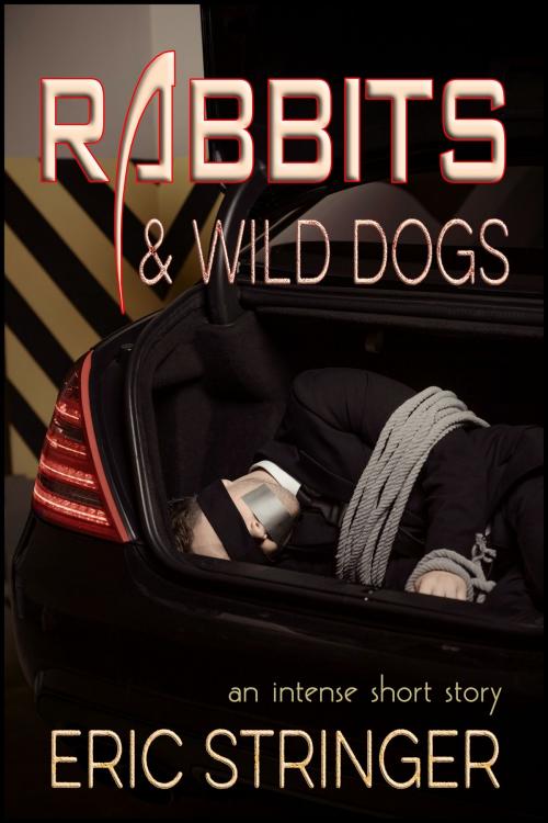 Cover of the book Rabbits & Wild Dogs by Eric Stringer, StoneThread Publishing