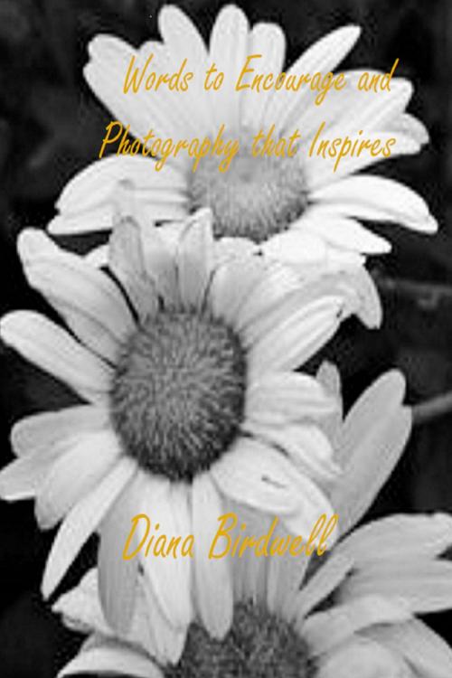 Cover of the book Words to Encourage and Photography that Inspires by Diana Birdwell, Diana Birdwell
