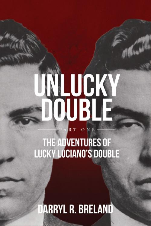 Cover of the book UnLucky Double by Darryl Breland, Darryl Breland