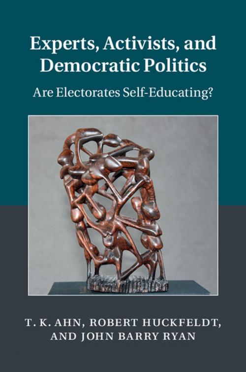 Cover of the book Experts, Activists, and Democratic Politics by T. K. Ahn, Robert Huckfeldt, John Barry Ryan, Cambridge University Press