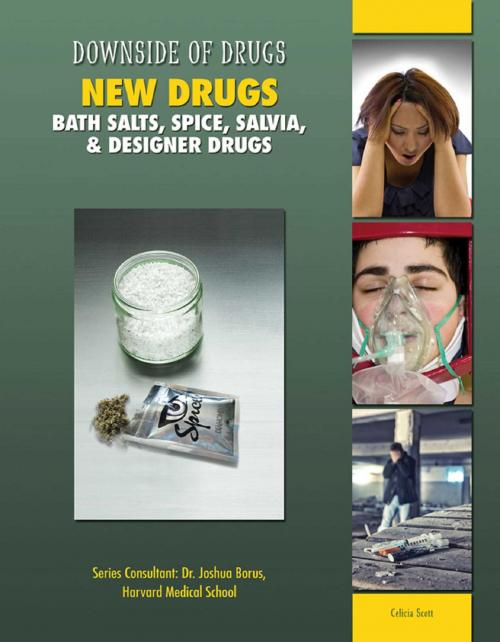 Cover of the book New Drugs by Celicia Scott, Mason Crest