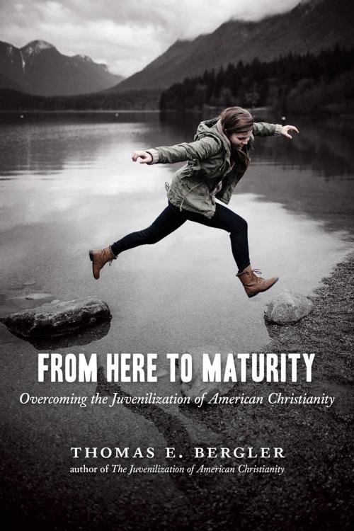 Cover of the book From Here to Maturity by Thomas E. Bergler, Wm. B. Eerdmans Publishing Co.