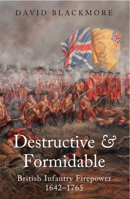 Cover of the book Destructive and Formidable by David Blackmore, Frontline Books