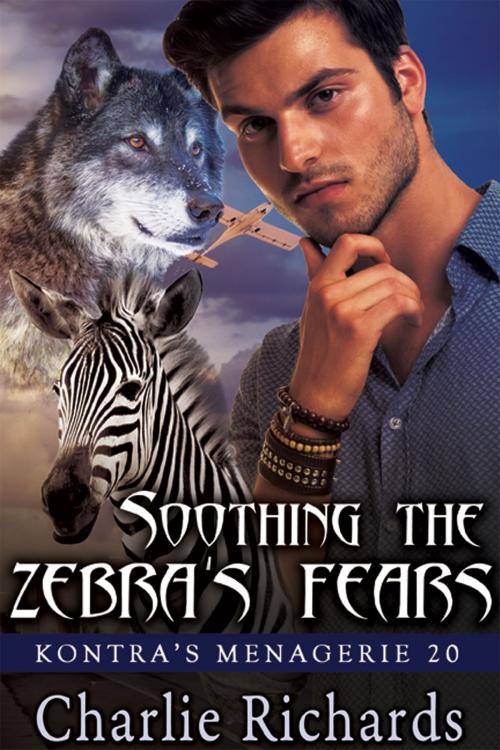 Cover of the book Soothing the Zebra's Fears by Charlie Richards, eXtasy Books Inc