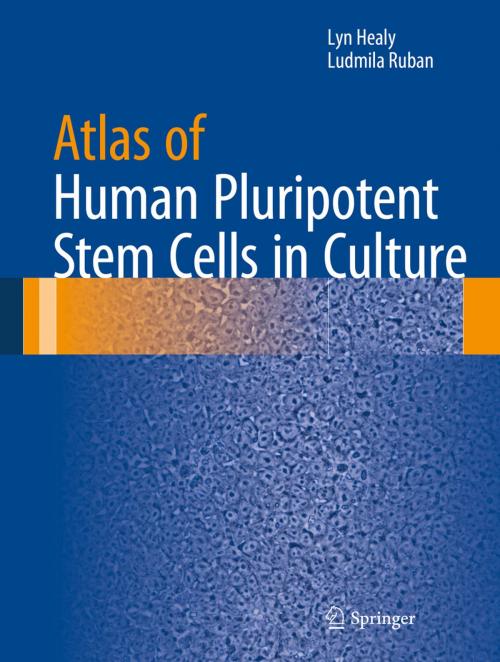 Cover of the book Atlas of Human Pluripotent Stem Cells in Culture by Lyn Healy, Ludmila Ruban, Springer US