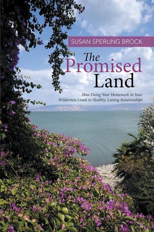 Cover of the book The Promised Land by Susan Sperling Brock, WestBow Press