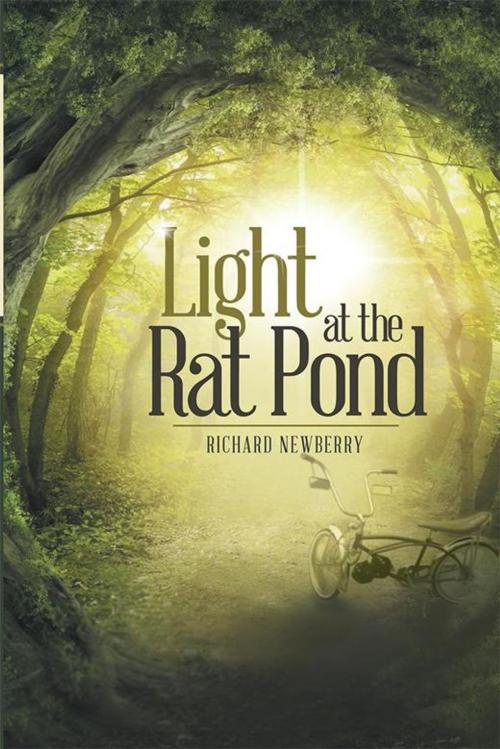 Cover of the book Light at the Rat Pond by Richard Newberry, WestBow Press