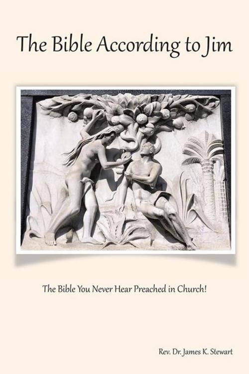 Cover of the book The Bible According to Jim by Rev. Dr. James K. Stewart, AuthorHouse