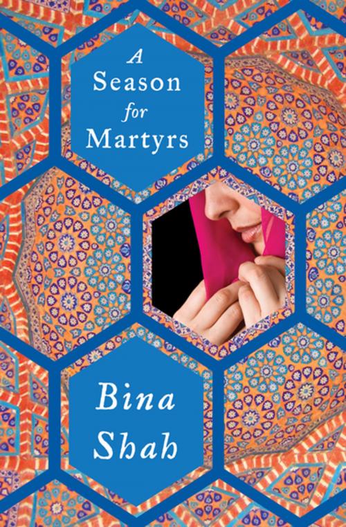 Cover of the book A Season for Martyrs by Bina Shah, Delphinium Books