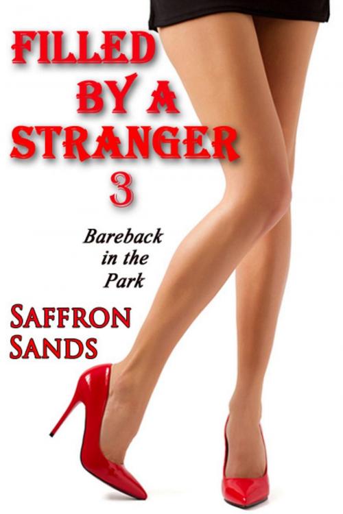 Cover of the book Filled By A Stranger 3: Bareback In The Park by Saffron Sands, Saffron Sands