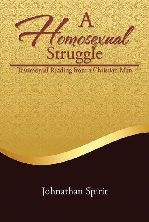 Cover of the book A Homosexual Struggle by Johnathan Spirit, Xlibris US