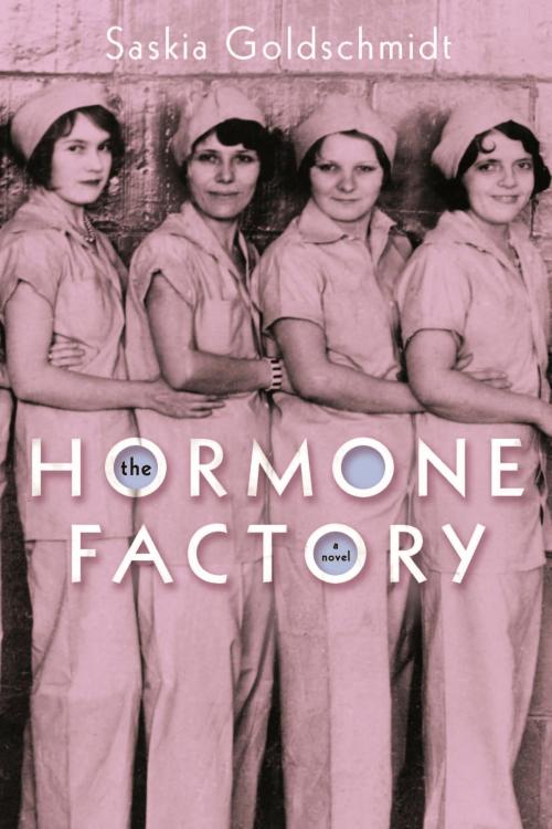 Cover of the book The Hormone Factory by Saskia Goldschmidt, Other Press