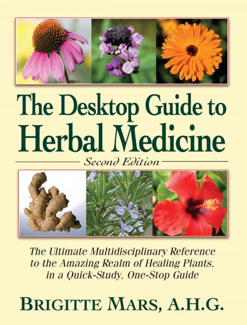 Cover of the book The Desktop Guide to Herbal Medicine by Brigitte Mars, Turner Publishing Company