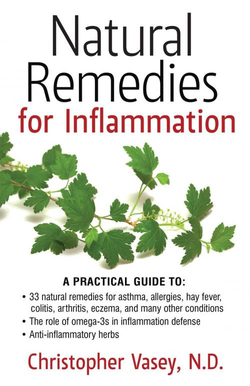 Cover of the book Natural Remedies for Inflammation by Christopher Vasey, N.D., Inner Traditions/Bear & Company