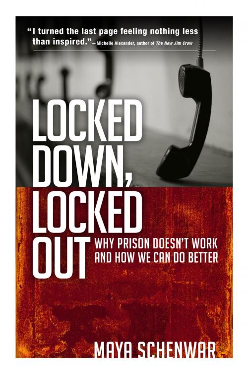 Cover of the book Locked Down, Locked Out by Maya Schenwar, Berrett-Koehler Publishers