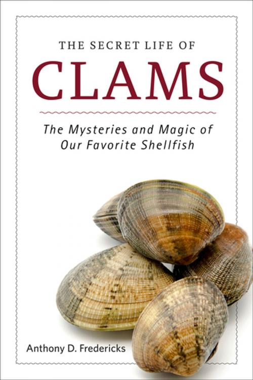 Cover of the book The Secret Life of Clams by Anthony D. Fredericks, Skyhorse Publishing