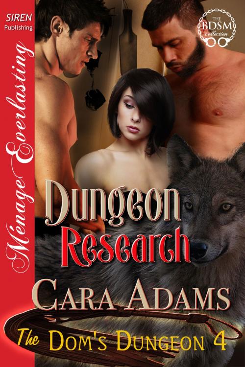 Cover of the book Dungeon Research by Cara Adams, Siren-BookStrand