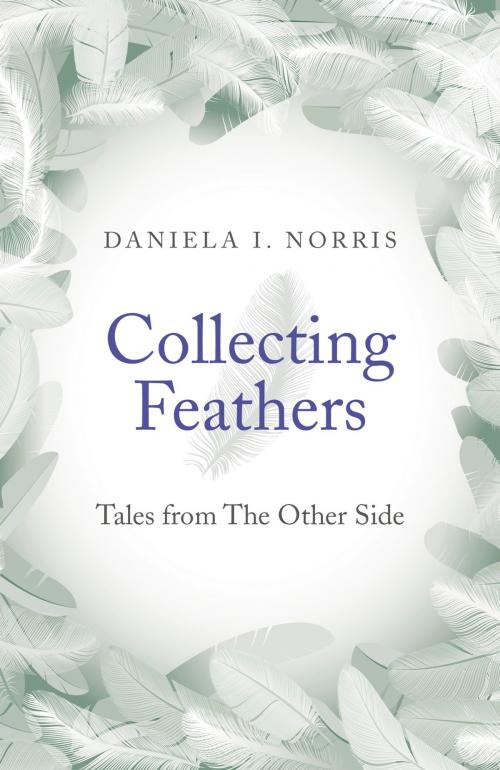 Cover of the book Collecting Feathers by Daniela I. Norris, John Hunt Publishing